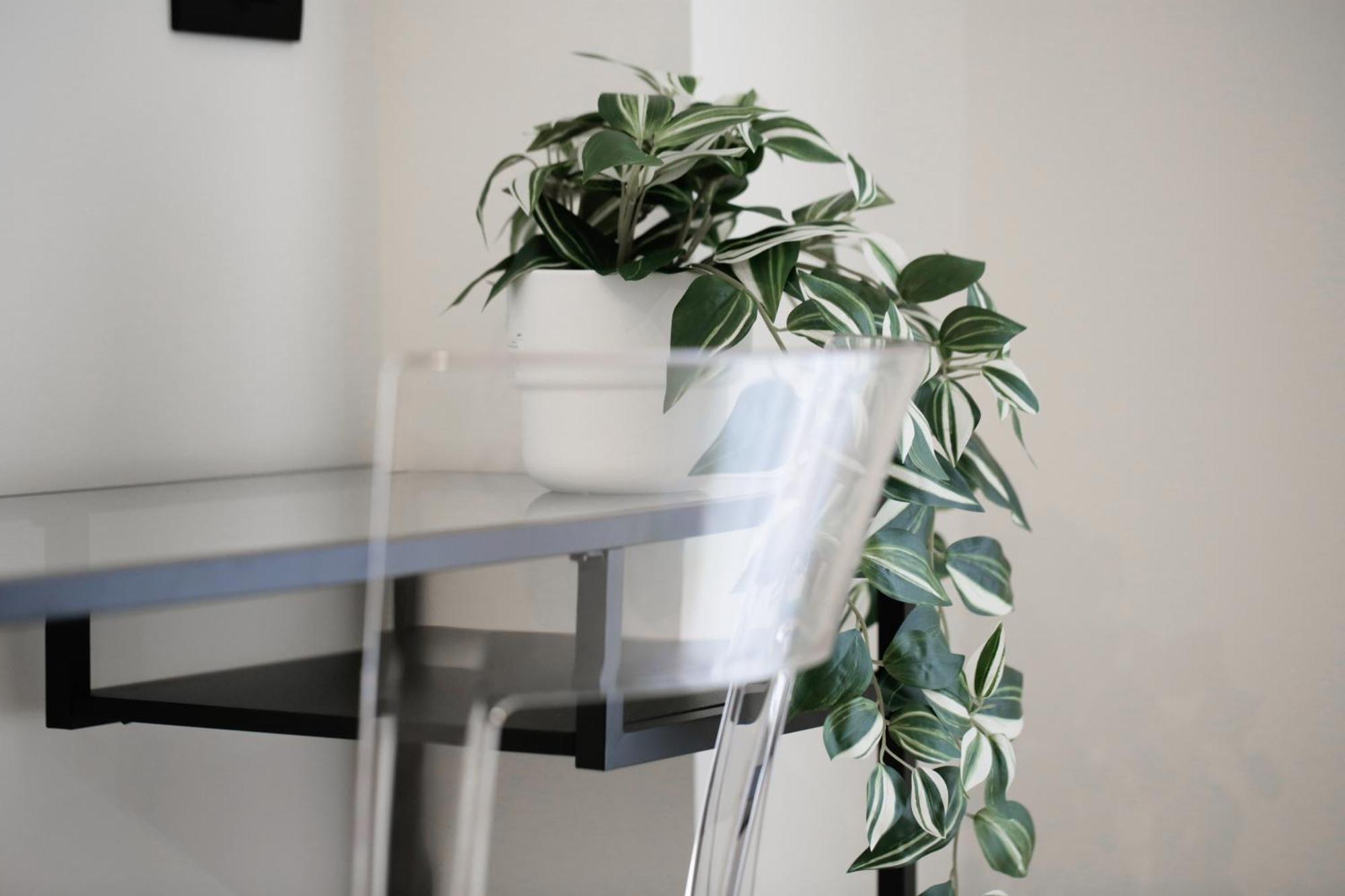 New Modern Flat 10 Minutes Walk From Central Station Milano Eksteriør bilde